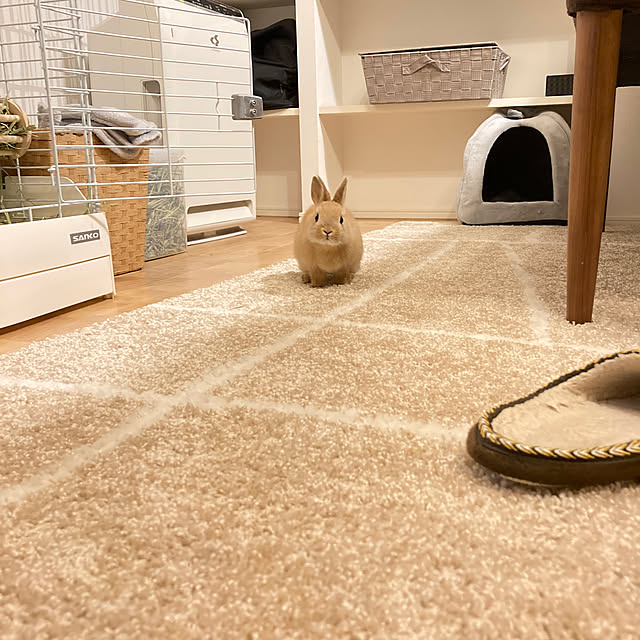 studiomiiさんの実例写真