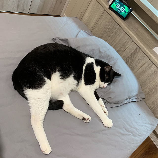 mikeume7さんの実例写真