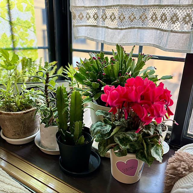 tututu0204さんの部屋