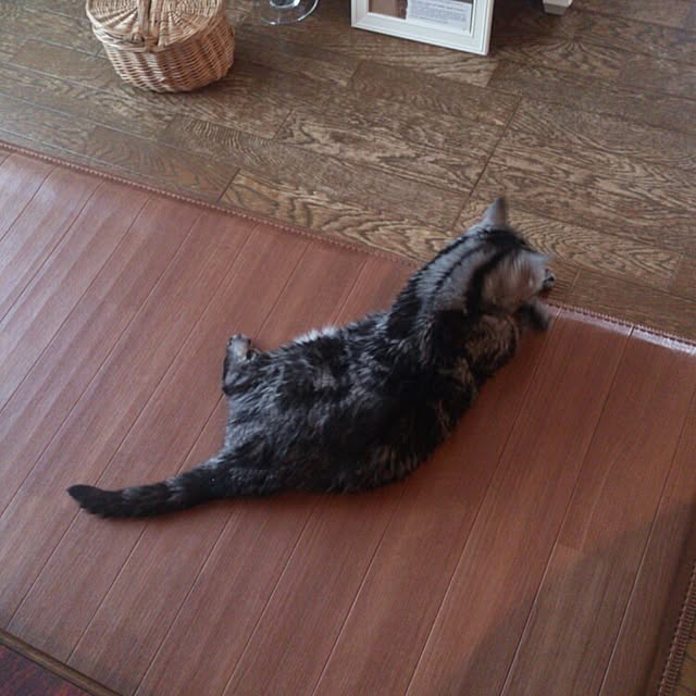 showさんの実例写真
