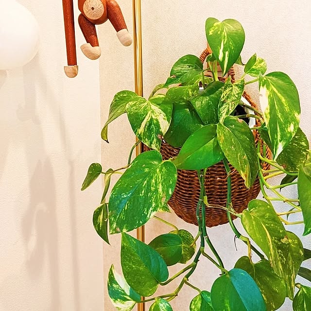 michiruさんの部屋