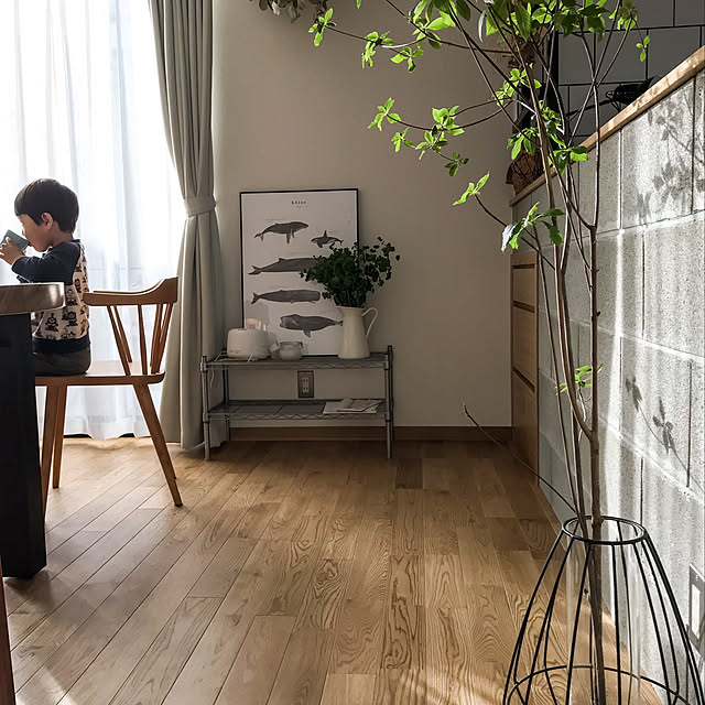 shokoさんの実例写真