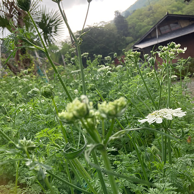 cota2さんの部屋