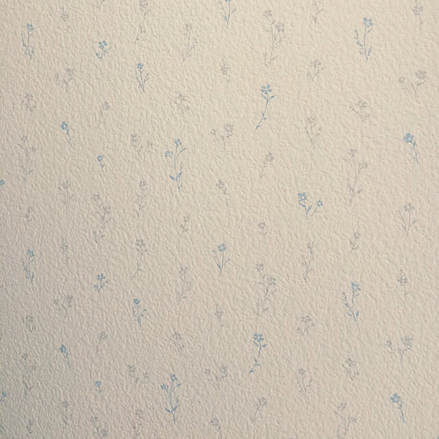 t.rinさんの実例写真
