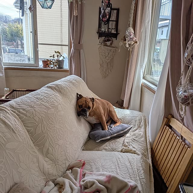 chi_gogaさんの部屋