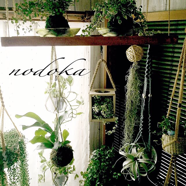 nodokaさんの実例写真