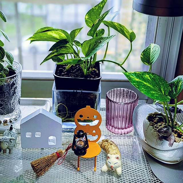 mi-saさんの部屋