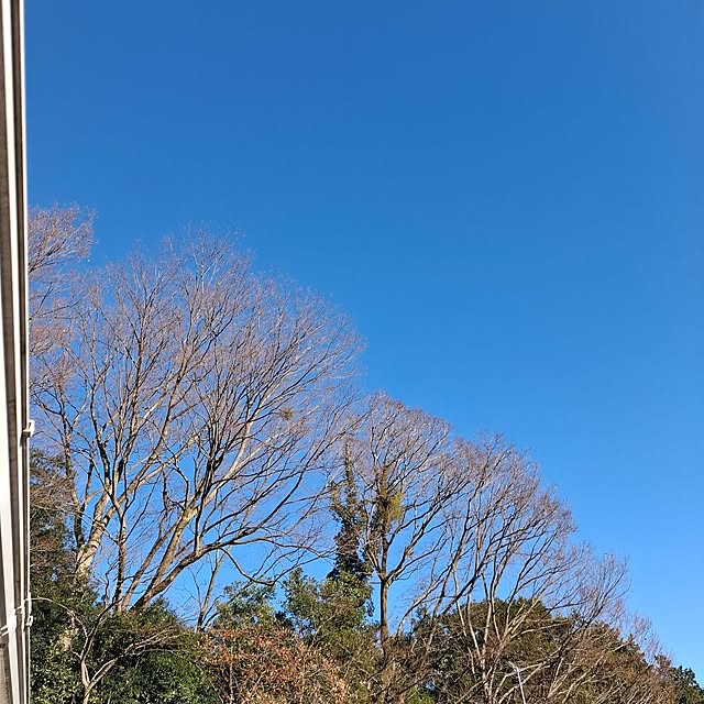 midoriさんの部屋