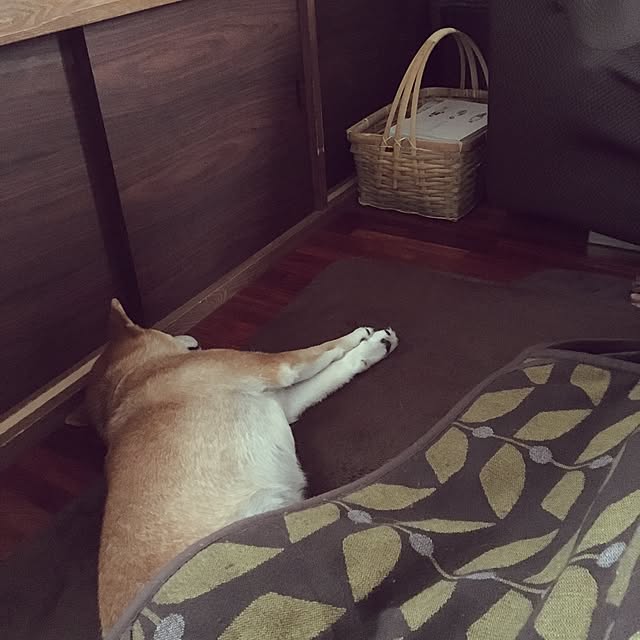 nicoさんの実例写真