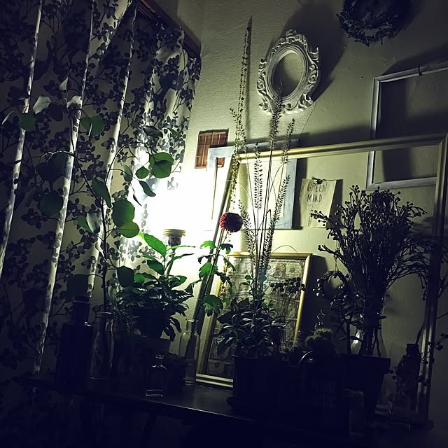 plasticspoon213さんの実例写真