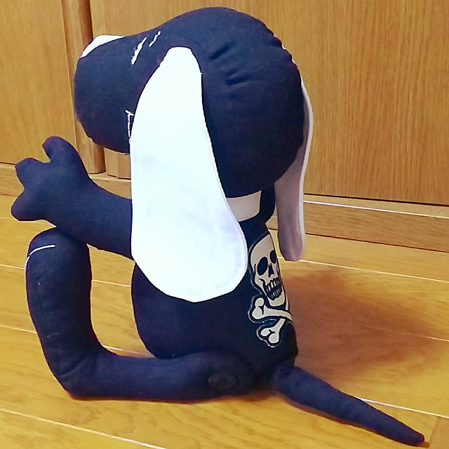 izupezさんの実例写真
