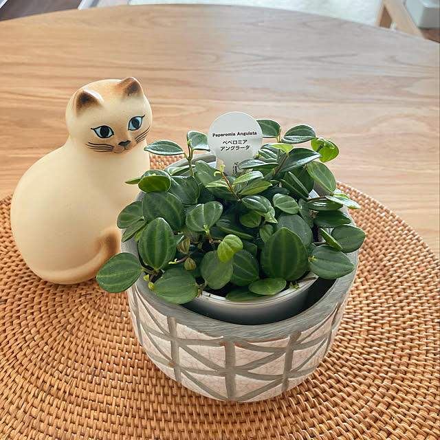 mi_h02さんの実例写真