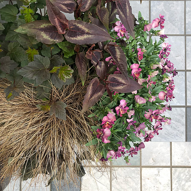 mutsuさんの実例写真