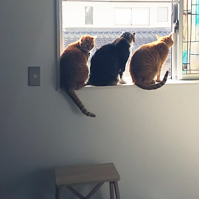 37さんの実例写真