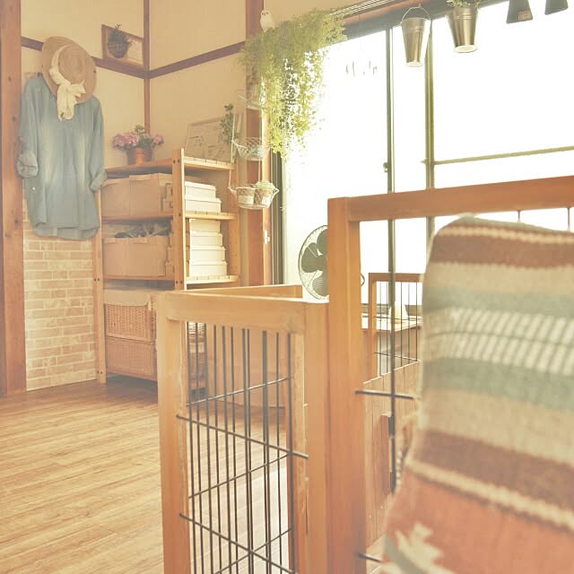 dezさんの実例写真
