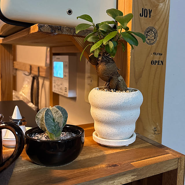 yun.さんの実例写真