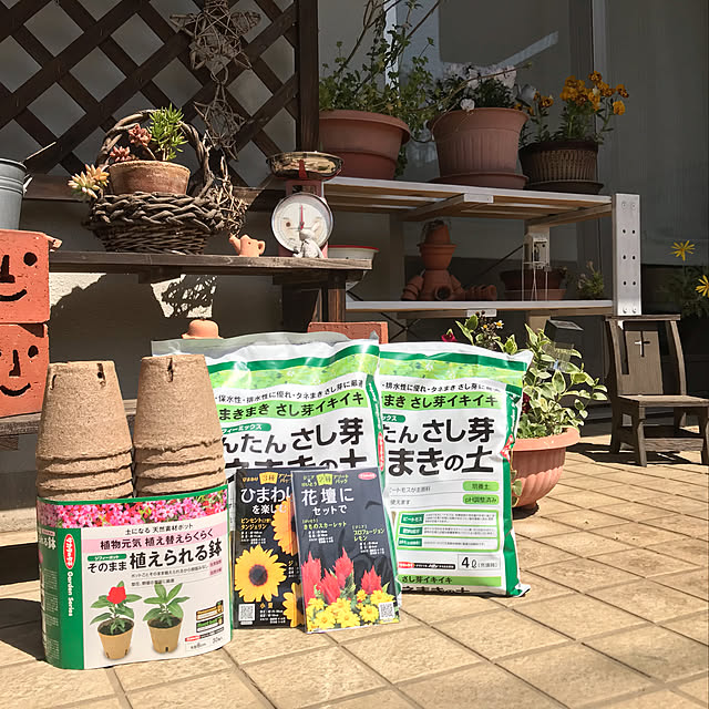 Yoshikoさんの実例写真