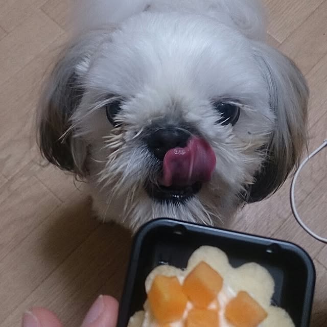 co_niさんの実例写真