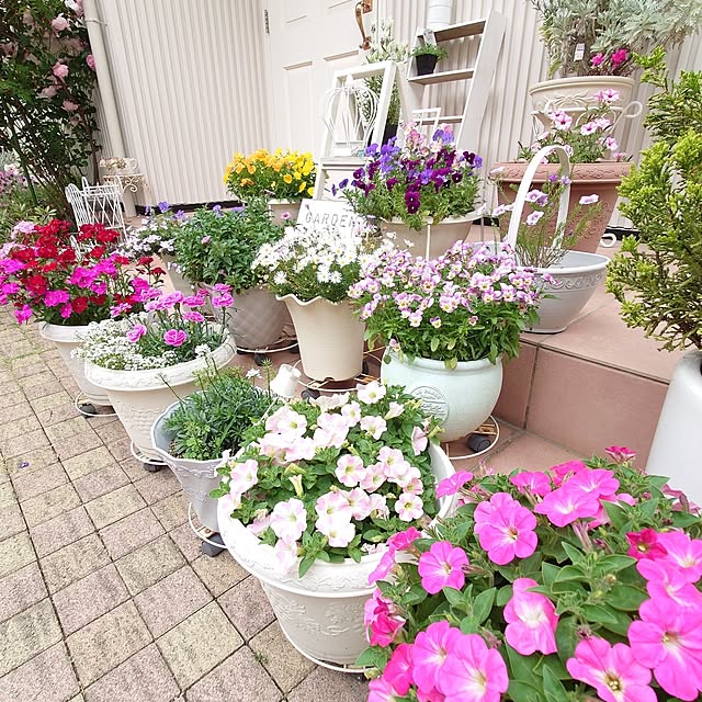fleur-mamanさんの実例写真