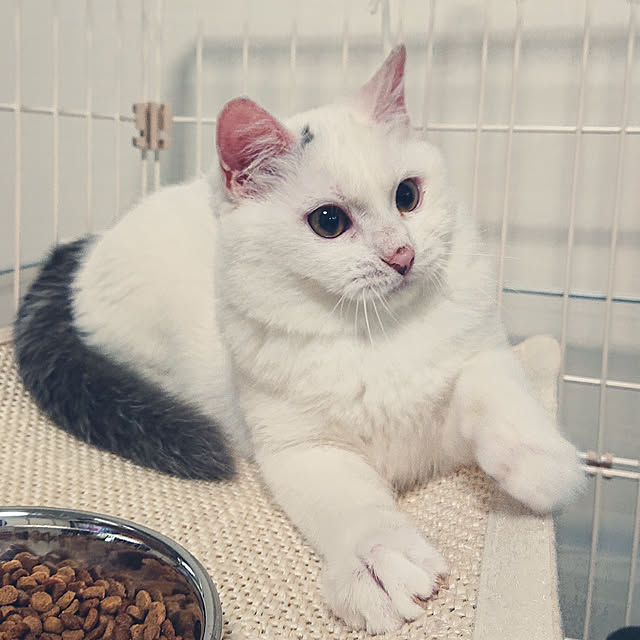 MIPORINNさんの実例写真
