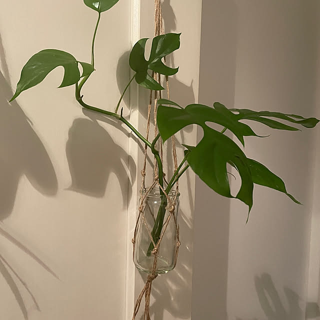 nattunさんの部屋