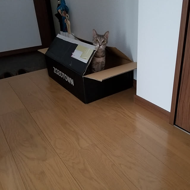 yukiさんの実例写真
