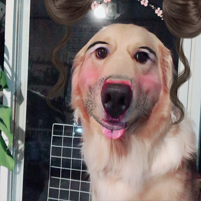 k.n.d.a.h.aさんの実例写真