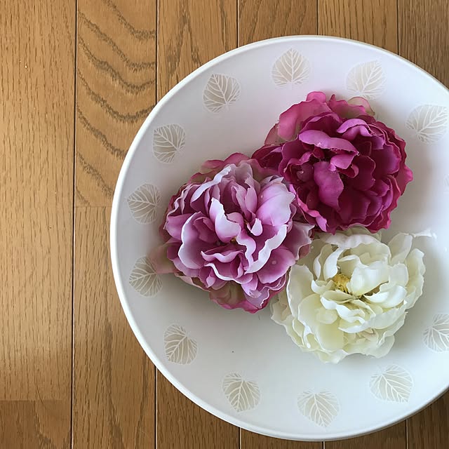 hiyo.pietさんの実例写真