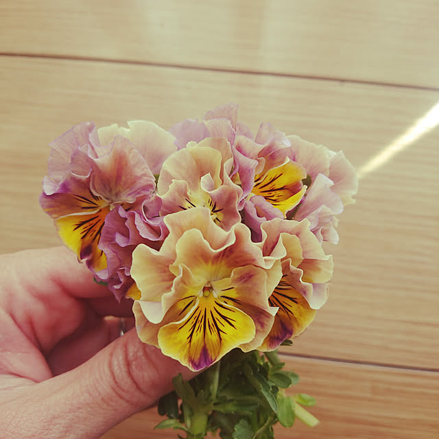 kuremaさんの実例写真