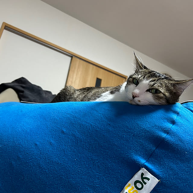 nacchi4さんの部屋