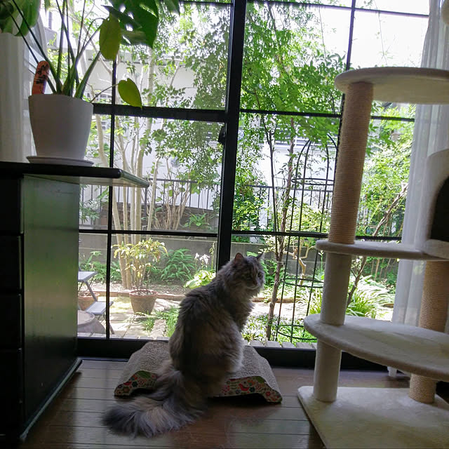 justyさんの実例写真