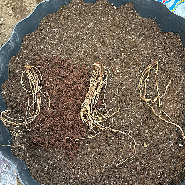 yunroomさんの部屋