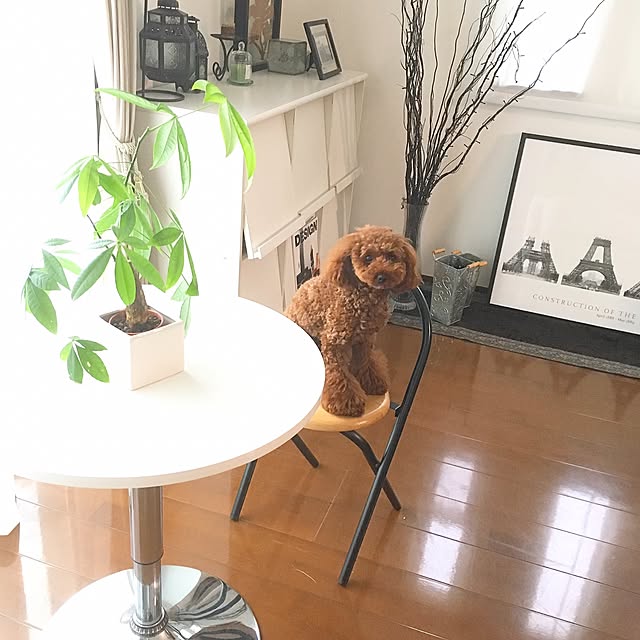 ronaさんの実例写真