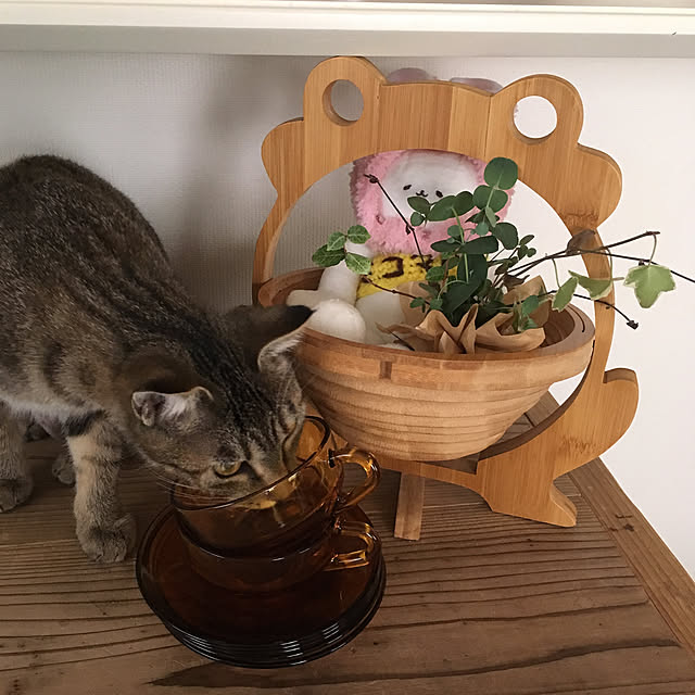 mikomaruさんの実例写真