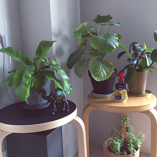 greenforestさんの実例写真