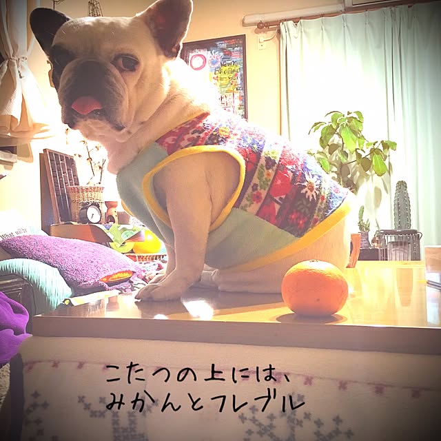 38coreさんの実例写真