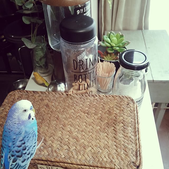opiopiopiさんの実例写真