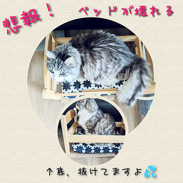 ponさんの実例写真