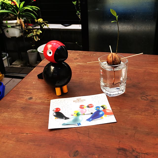 chacoさんの実例写真