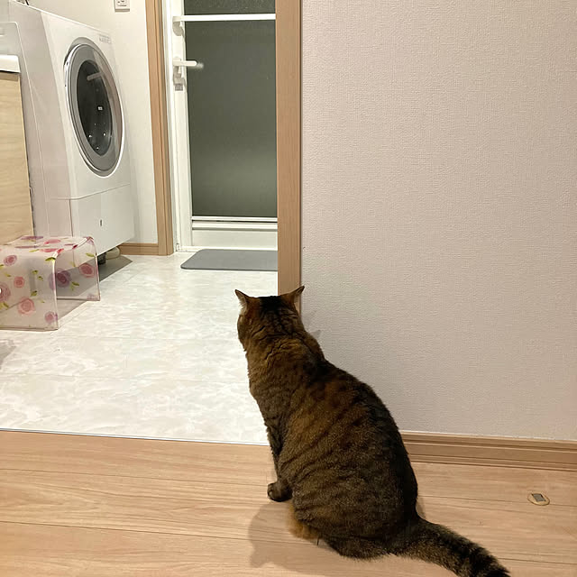 kirinsanさんの実例写真