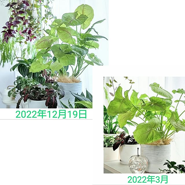 YuriYuriさんの部屋