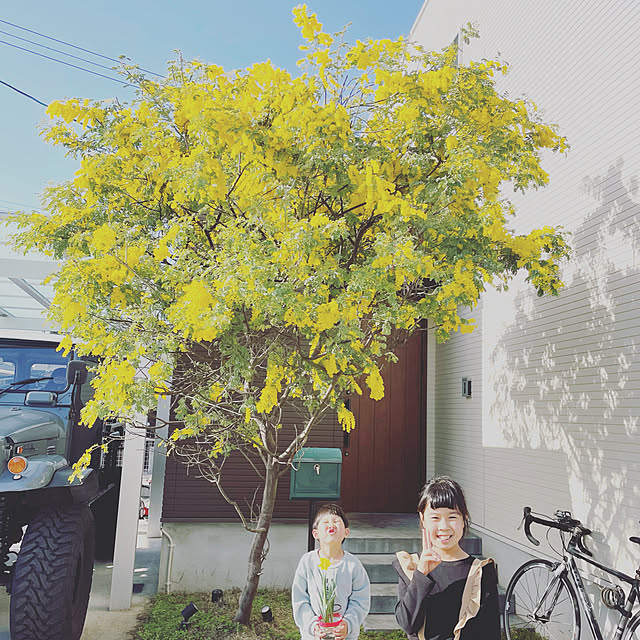 Yutaさんの実例写真