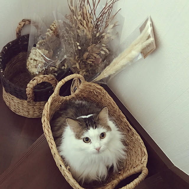 rinnmeronnさんの実例写真