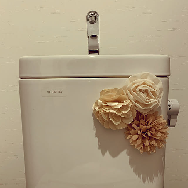 sakusakuさんの実例写真