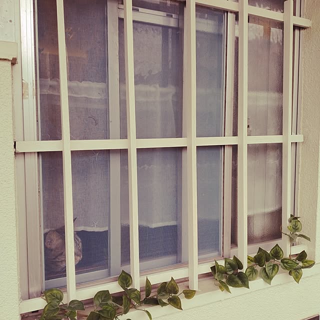 runaさんの部屋