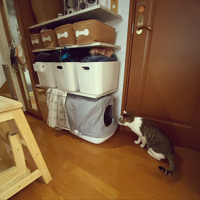 Lufuさんの実例写真
