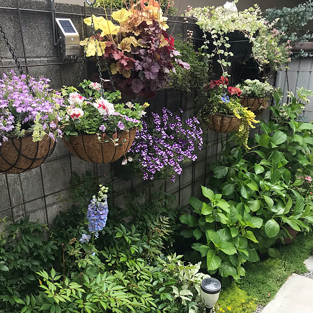 実例写真