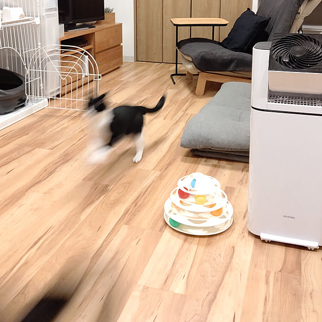 hihaさんの実例写真