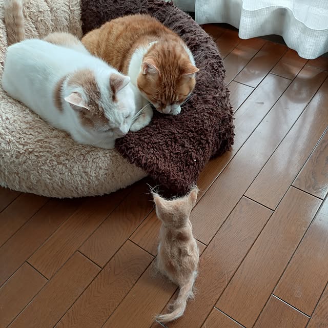 NOAHさんの実例写真