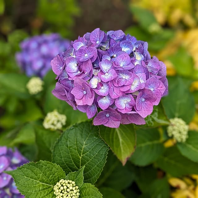 tabasaさんの部屋